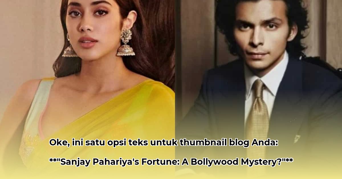 sanjay-pahariya-net-worth